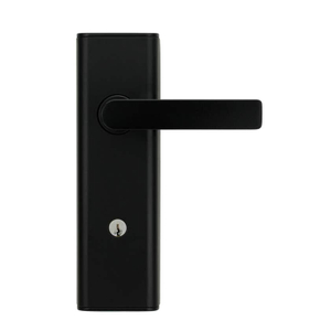 ロックウッド ネクシオン ビジョン メカニカル レバー 3 マット ブラック